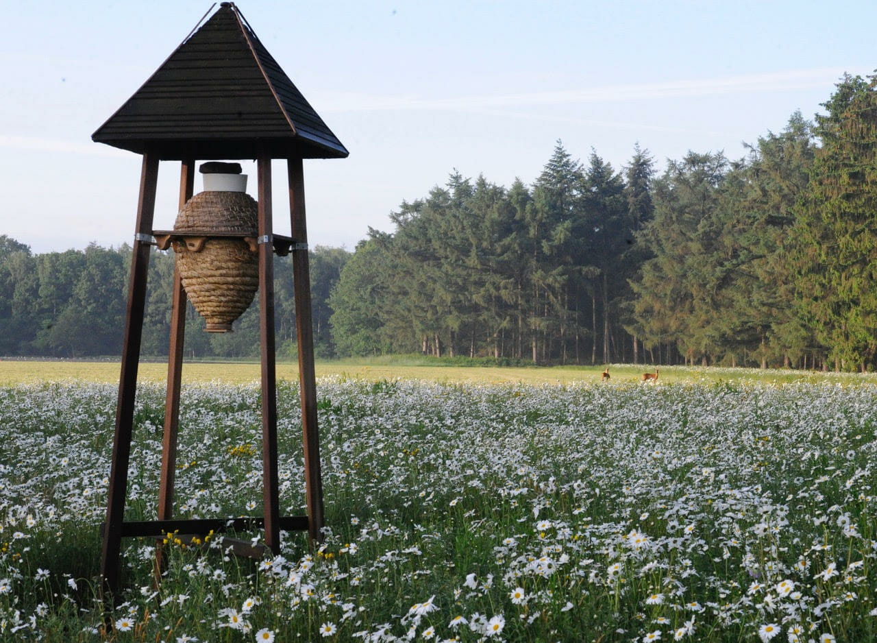 Bijentoren