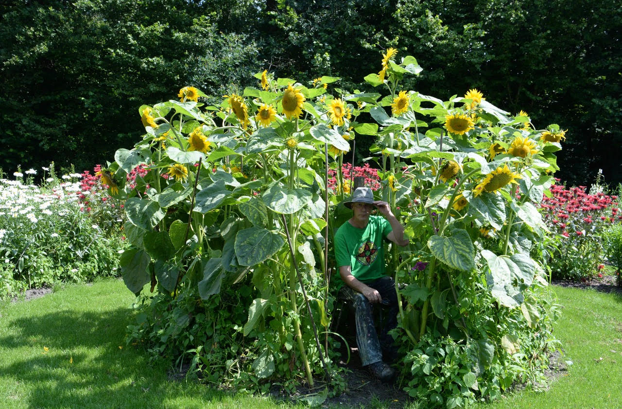 Garden, 11 juli 2022