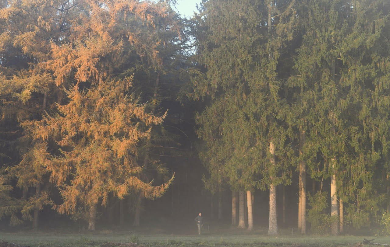 Bos van de Heilige Geest, ingang van de natuurbegraafplaats