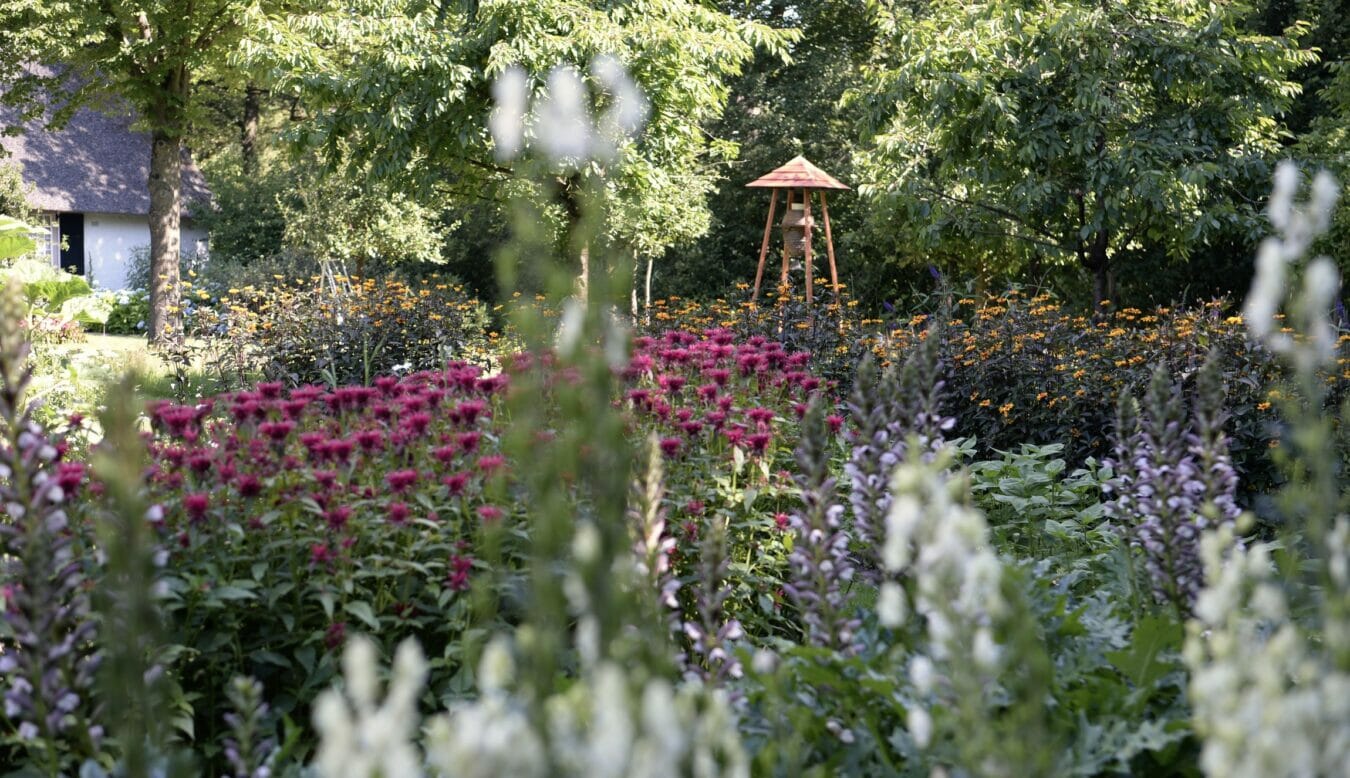 Garden and Bee Tower, 3 July 2022