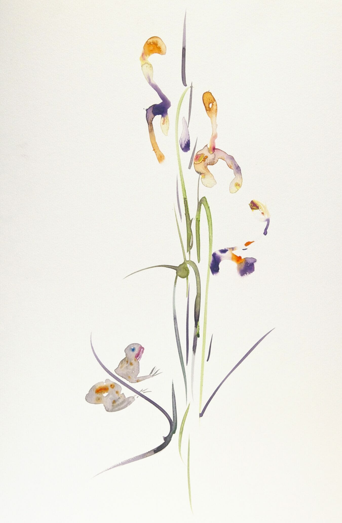 Bloem, 2011, watercolor, 60 x 50 cm, Private Collection