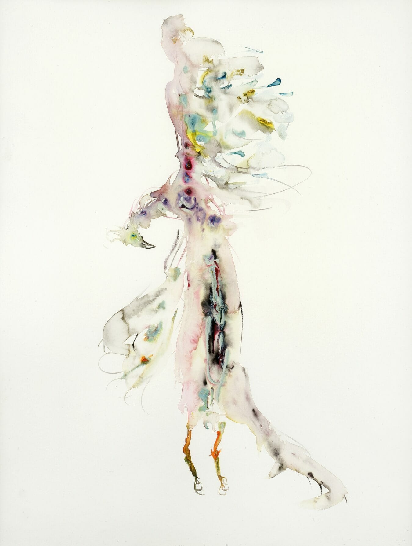 Gehangen fazant, 2000, aquarel, 100 x 70 cm, LUMC Kunstcollectie