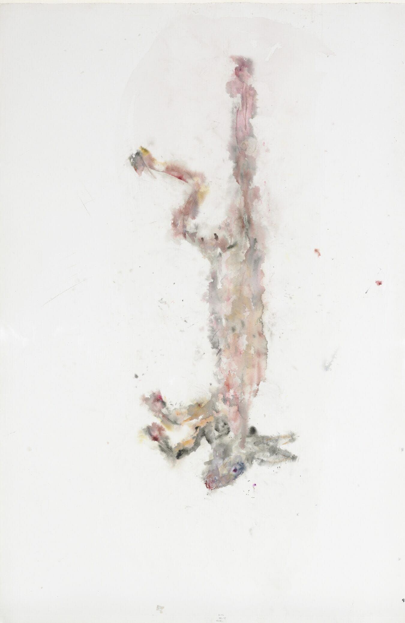 Schotse witte haas nr. X, 1997, watercolor, 152 x 102 cm, De Pont Museum