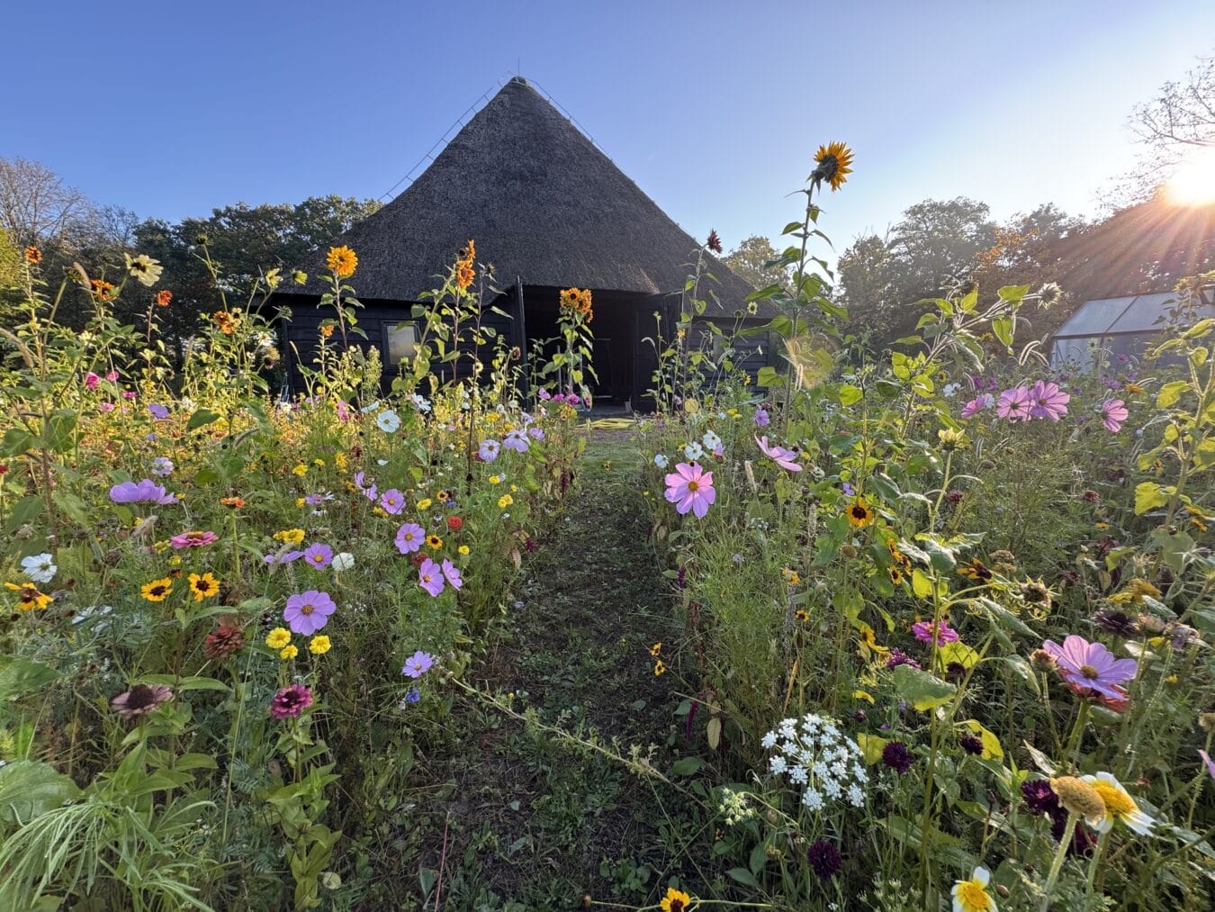 Baest Studio 28.09.25