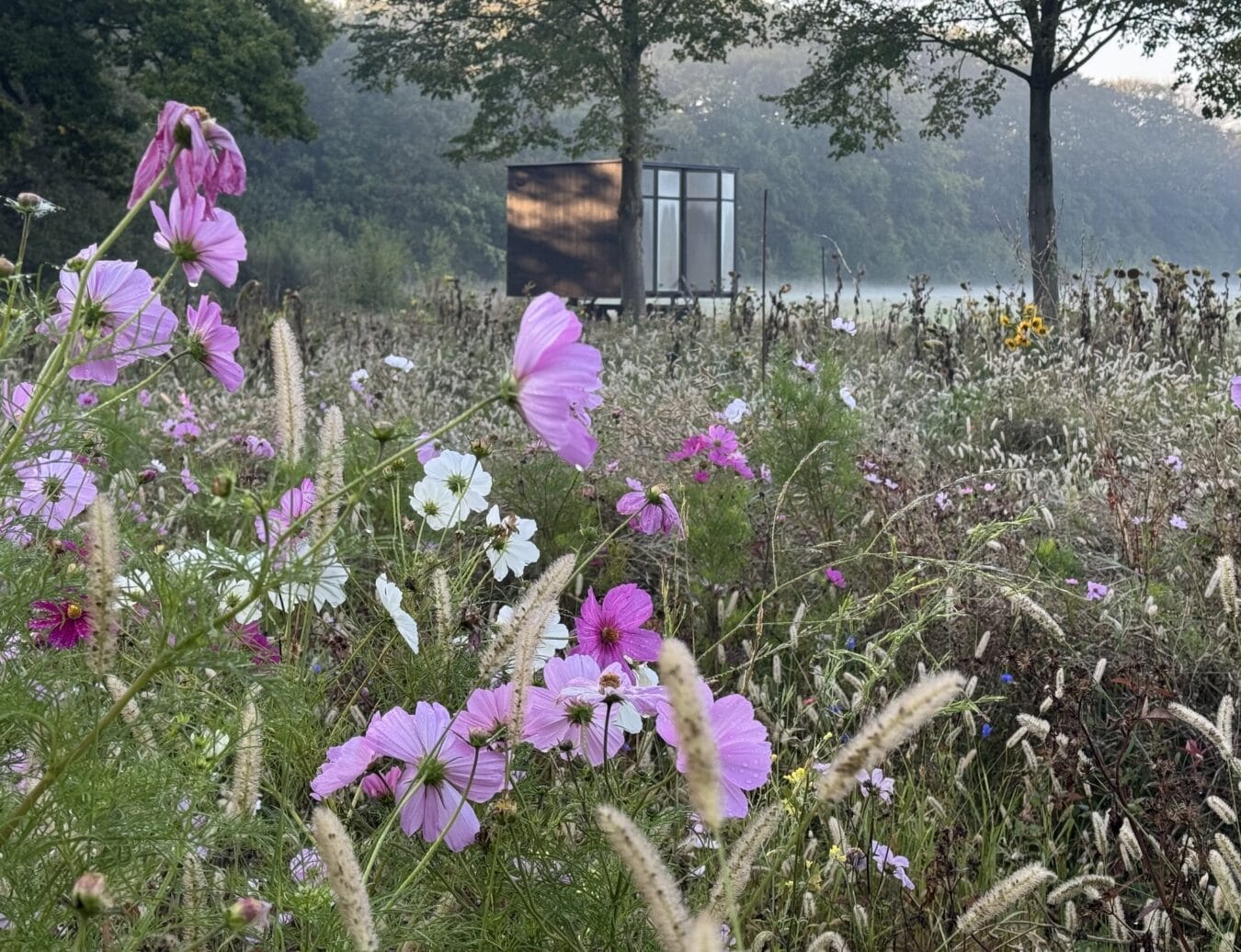 Baest Outdoor Studio 28.09.25